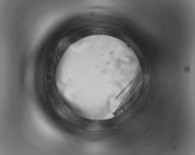 X0000113200381200910081258