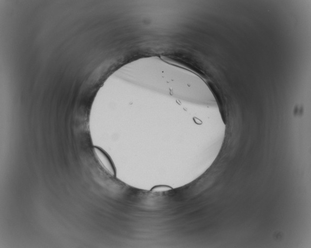X0000113200384200910081258