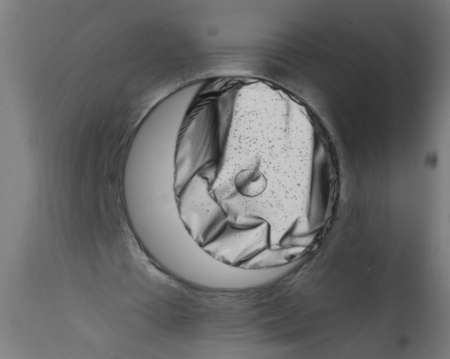 X0000113200385200910081257