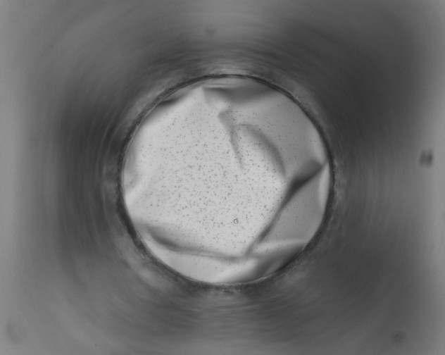 X0000113200386200910081257