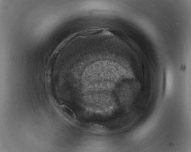 X0000113200387200910081257