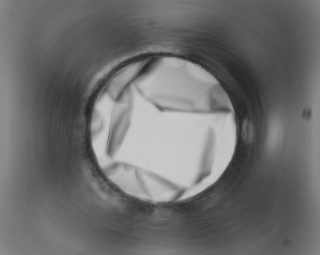 X0000113200388200910081257