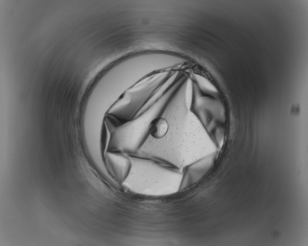 X0000113200391200910081257