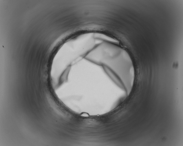 X0000113200392200910081257