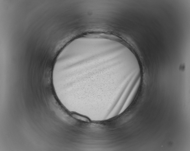 X0000113200393200910081257