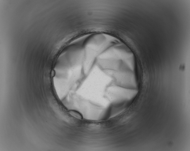 X0000113200394200910081257