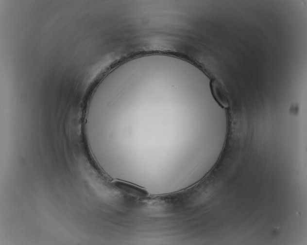 X0000113200395200910081257