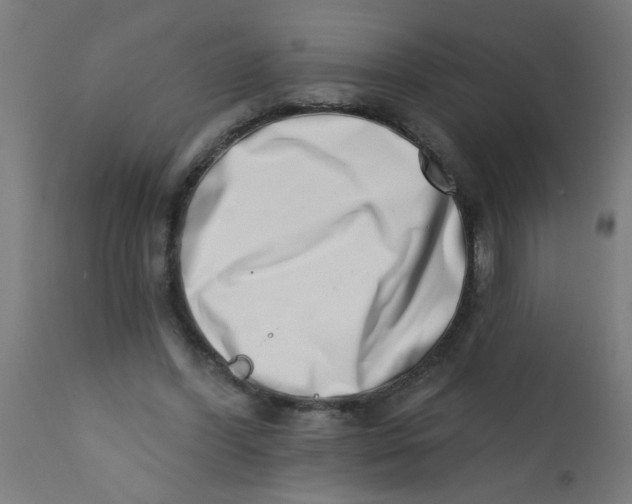 X0000113200396200910081257