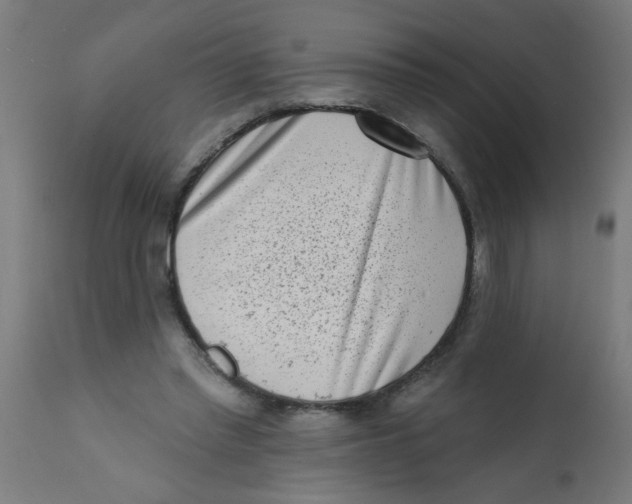 X0000113200397200910081257