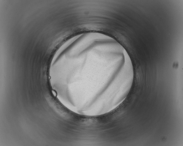 X0000113200398200910081257