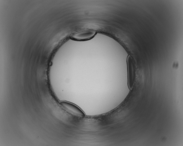 X0000113200399200910081257