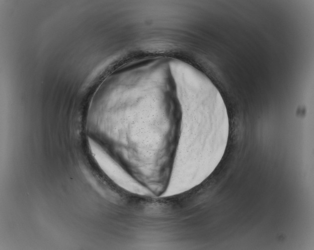 X0000113200400200910081257