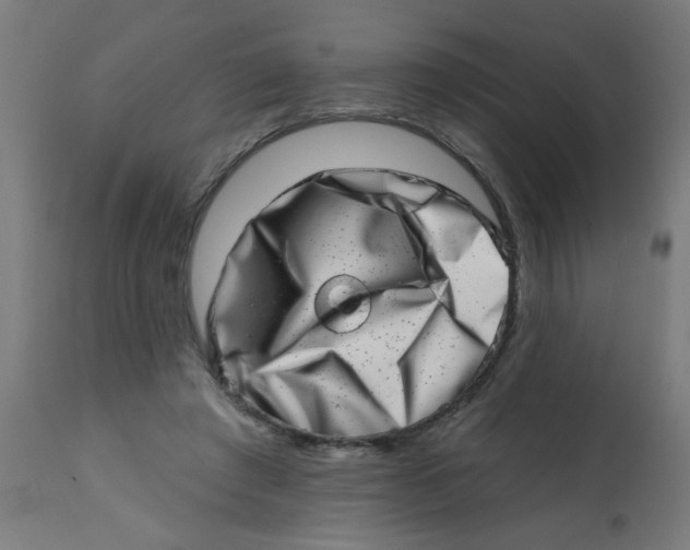 X0000113200401200910081257