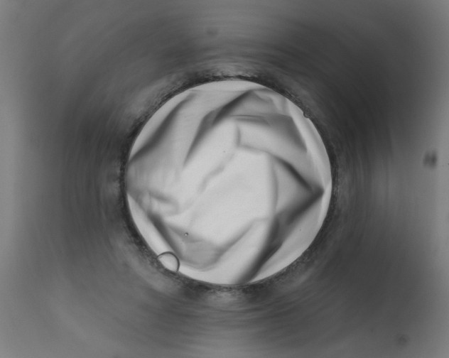 X0000113200402200910081257