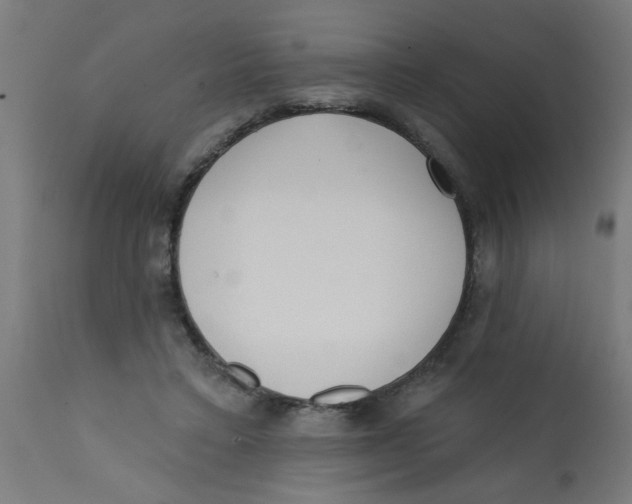 X0000113200403200910081257