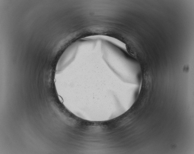 X0000113200404200910081257