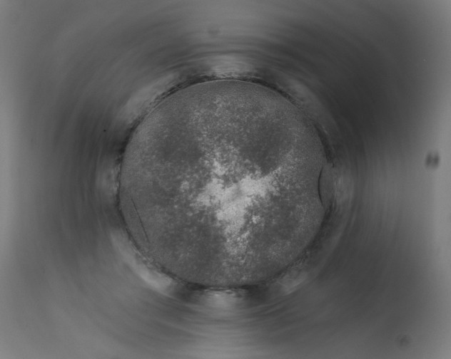 X0000113200405200910081257