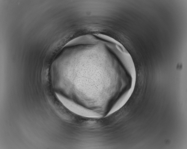 X0000113200406200910081257