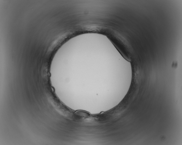 X0000113200407200910081257