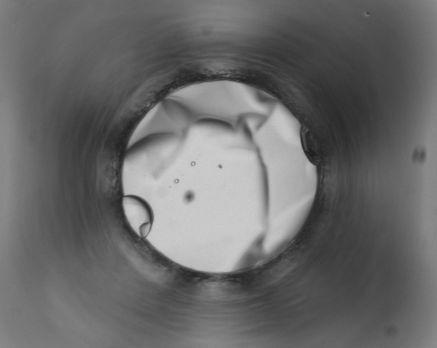 X0000113200408200910081257