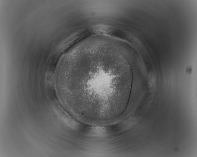 X0000113200409200910081257