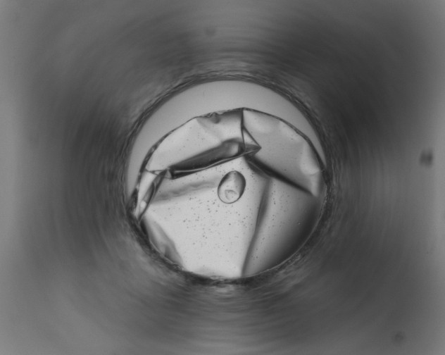 X0000113200411200910081257