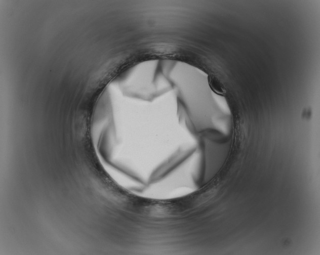 X0000113200412200910081257