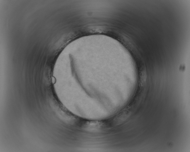 X0000113200414200910081257