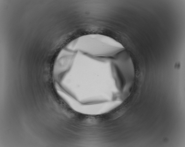 X0000113200416200910081257