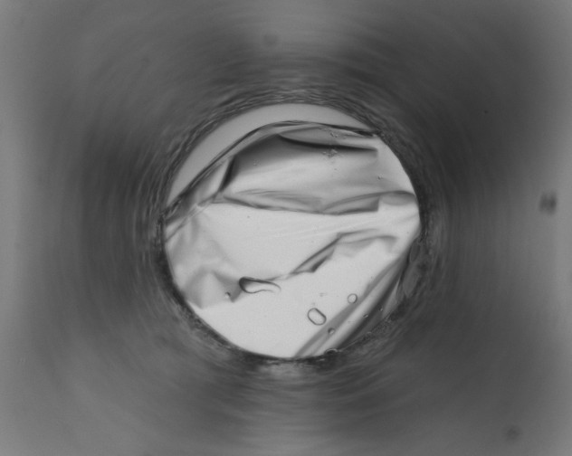 X0000113200417200910081257