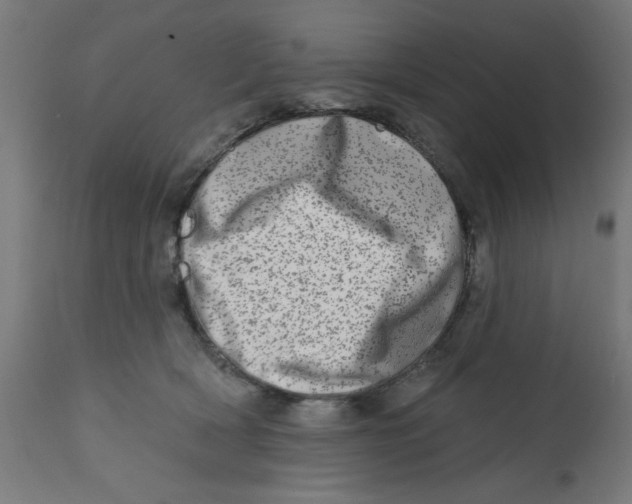 X0000113200418200910081256