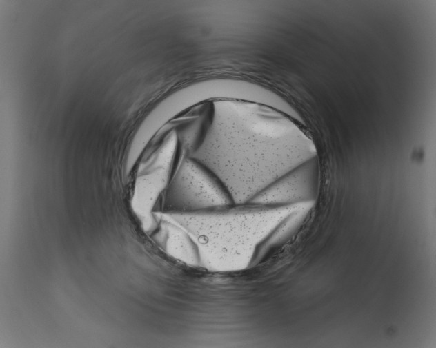 X0000113200419200910081256