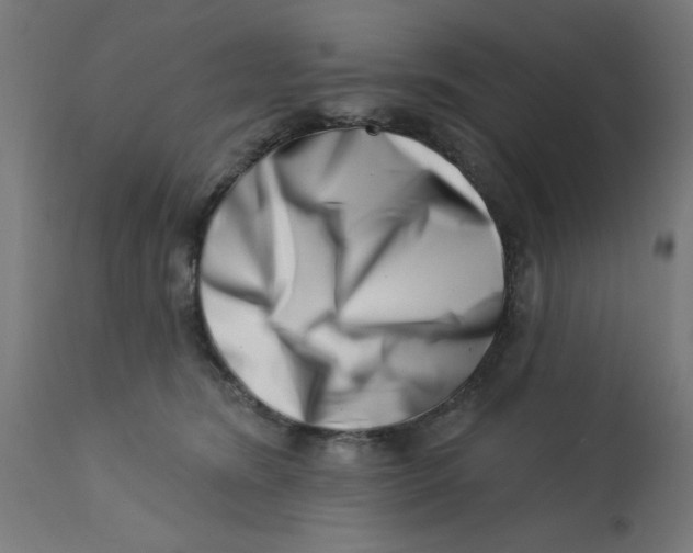 X0000113200420200910081256