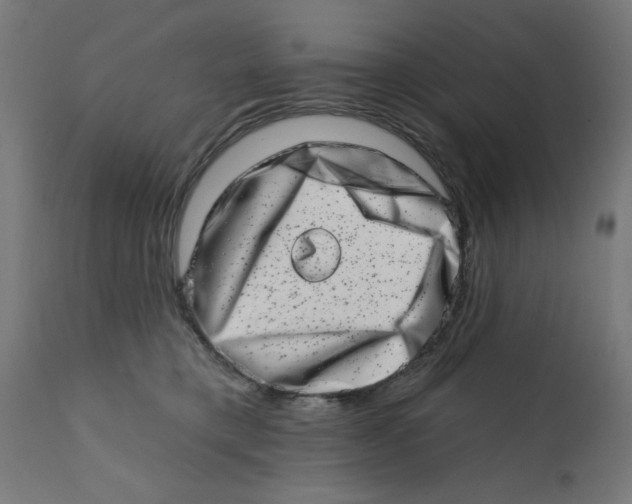 X0000113200421200910081256