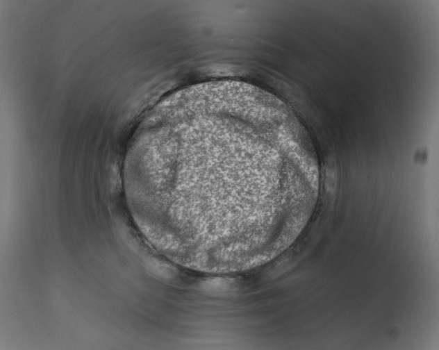 X0000113200422200910081256