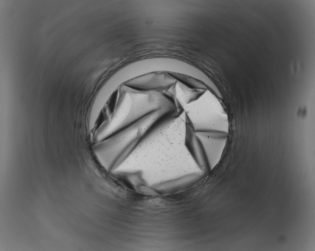 X0000113200423200910081256