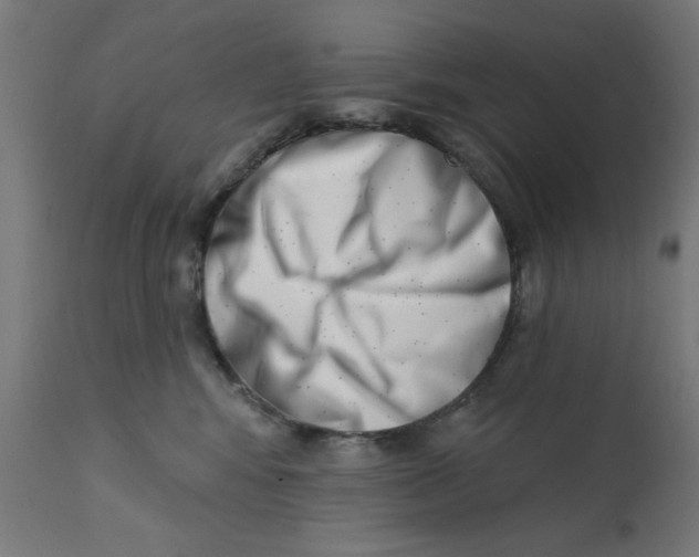 X0000113200424200910081256