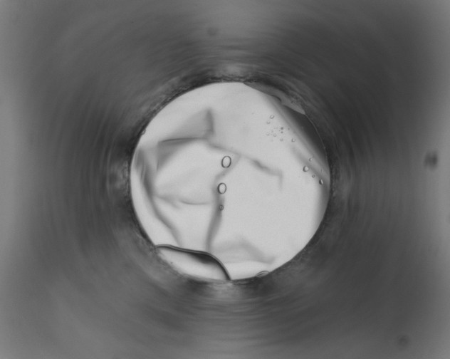 X0000113200425200910081256