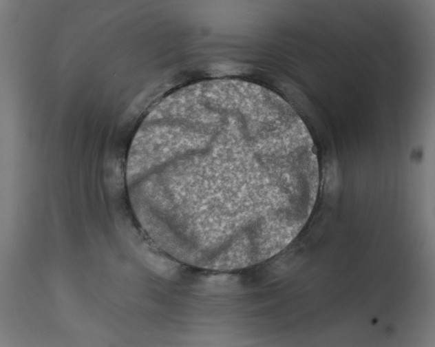 X0000113200426200910081256