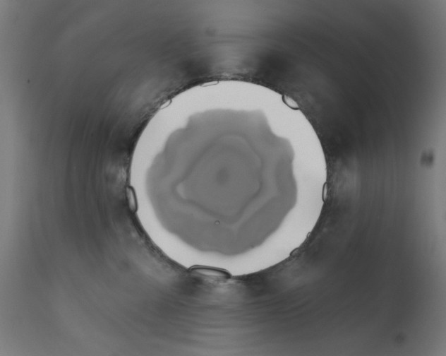 X0000113200427200910081256