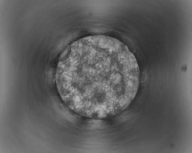 X0000113200428200910081256