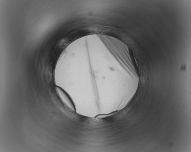X0000113200429200910081256