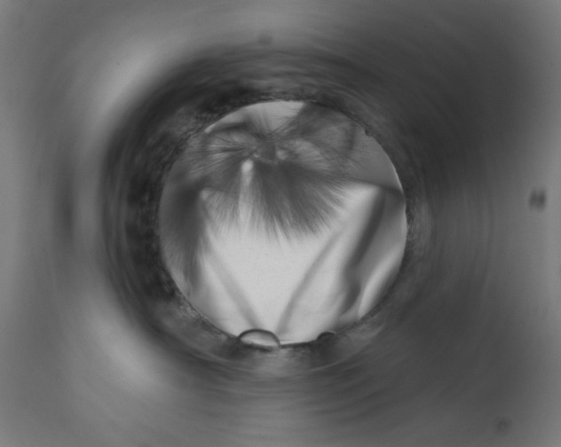 X0000113200430200910081256
