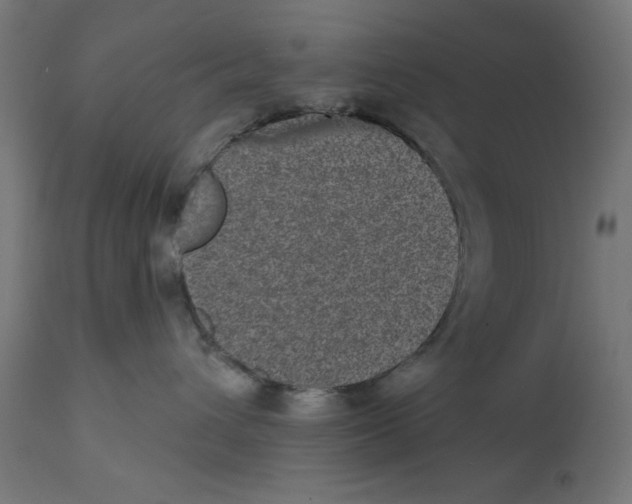 X0000113200432200910081256