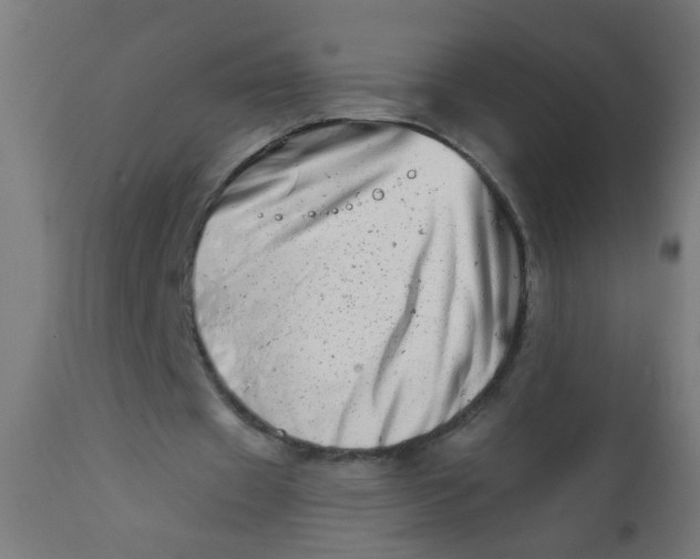 X0000113200433200910081255