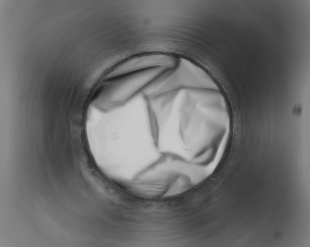 X0000113200434200910081255