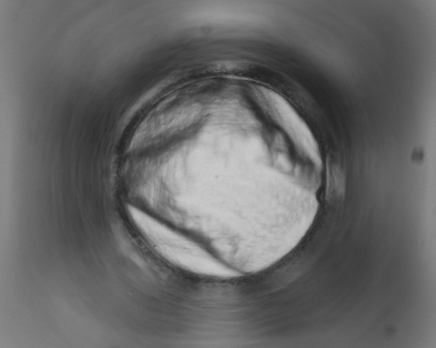 X0000113200435200910081256