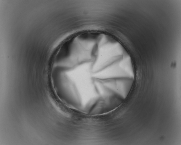 X0000113200436200910081256