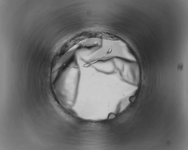 X0000113200437200910081256
