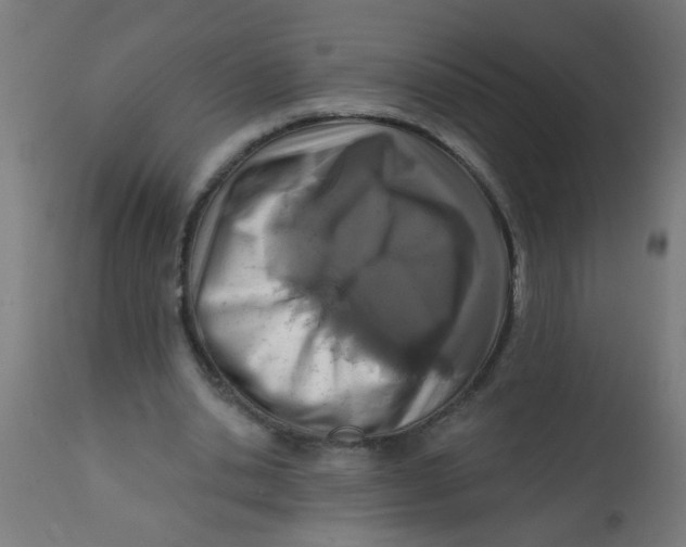 X0000113200438200910081256
